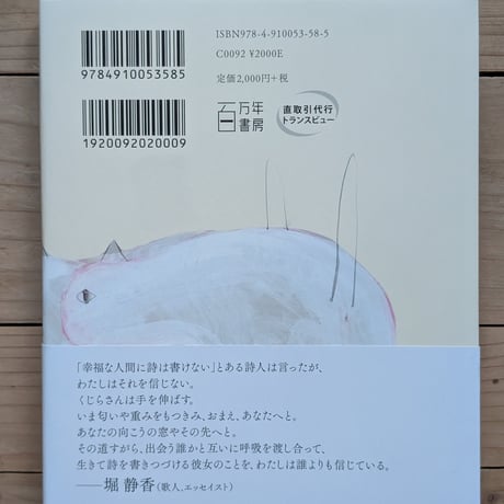 とても小さな理解のための