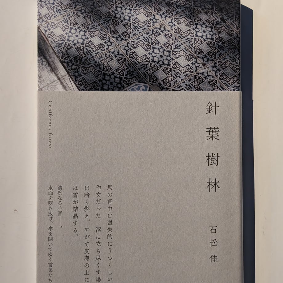 6943d405ad6dc11501210419