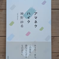 アマネクハイク