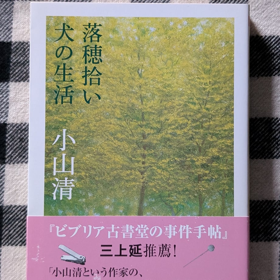 68cb9b10d2ff8f2341347829