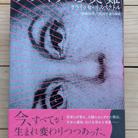 ソフィアの災難