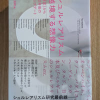 シュルレアリスム　越境する想像力  『宣言』から100年後のアップデート