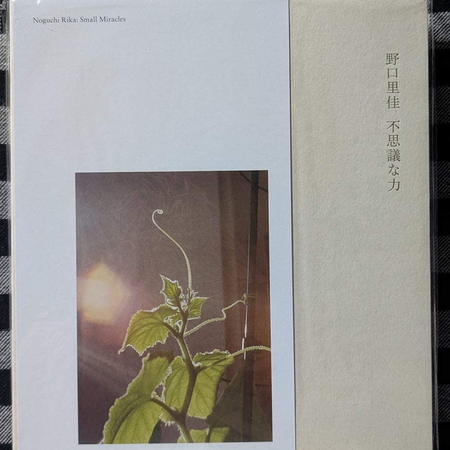 68cb99d3162c12148bf26271
