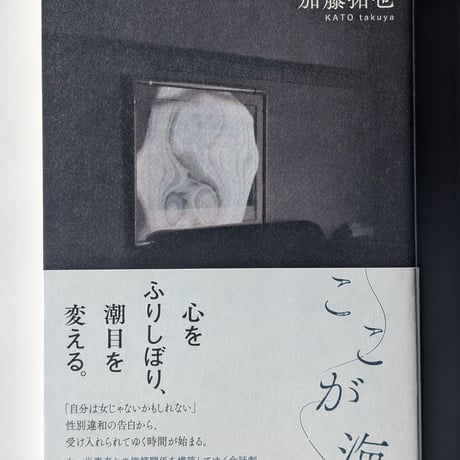 ここが海