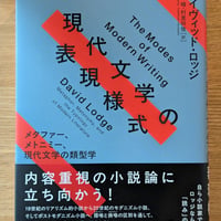 現代文学の表現様式　メタファー、メトニミー、現代文学の類型学