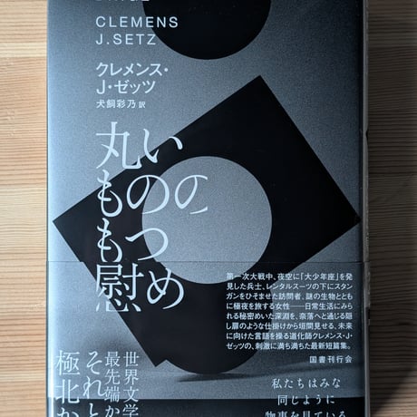 丸いもののもつ慰め