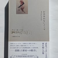 かみあわないノーマ
