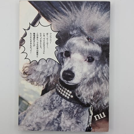 nu vol.3