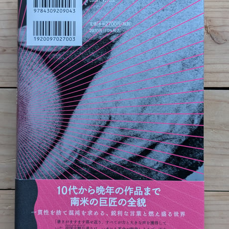 ソフィアの災難