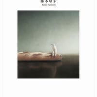 オーロラのお針子