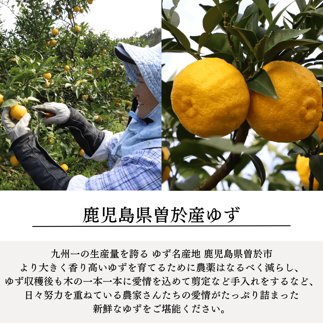 かけたかな＆こどもみかん＆ゆず生姜 3本セット【190ml×3本】 | 九州