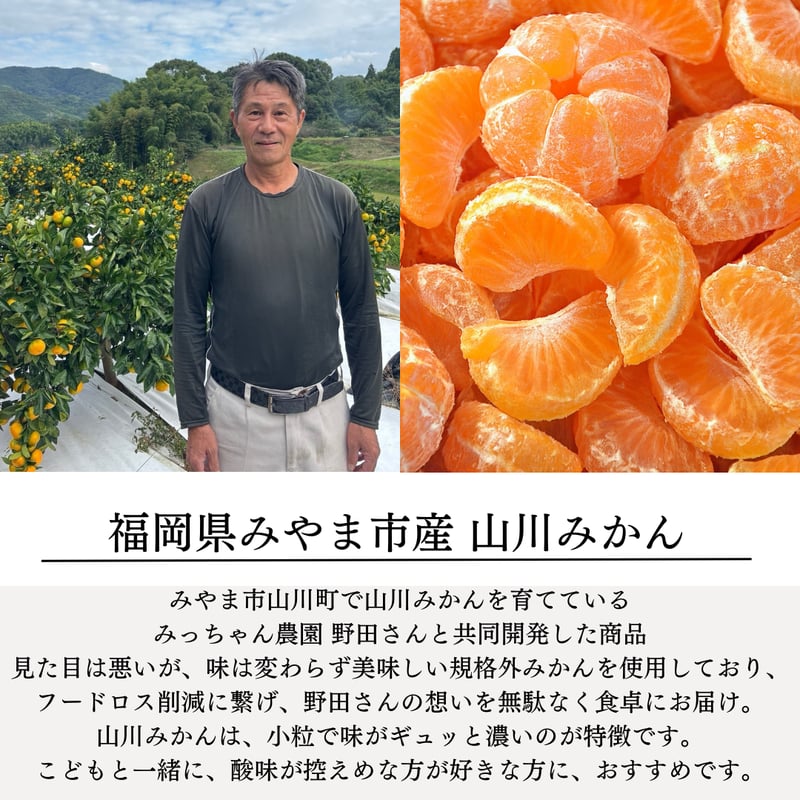 かけたかな＆こどもみかんドレッシング2本セット【190ml×2本】 | 九州