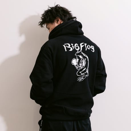 BIG FROG 【CUBE】