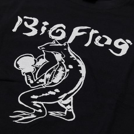 BIG FROG 【CUBE】