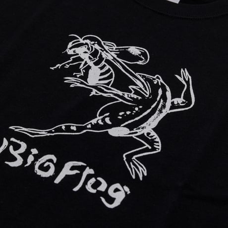 BIG FROG【GABURIERU】