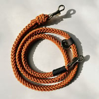 マリーゴールド（ROPE）
