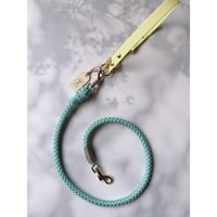シャイニーターコイズ（ROPE）