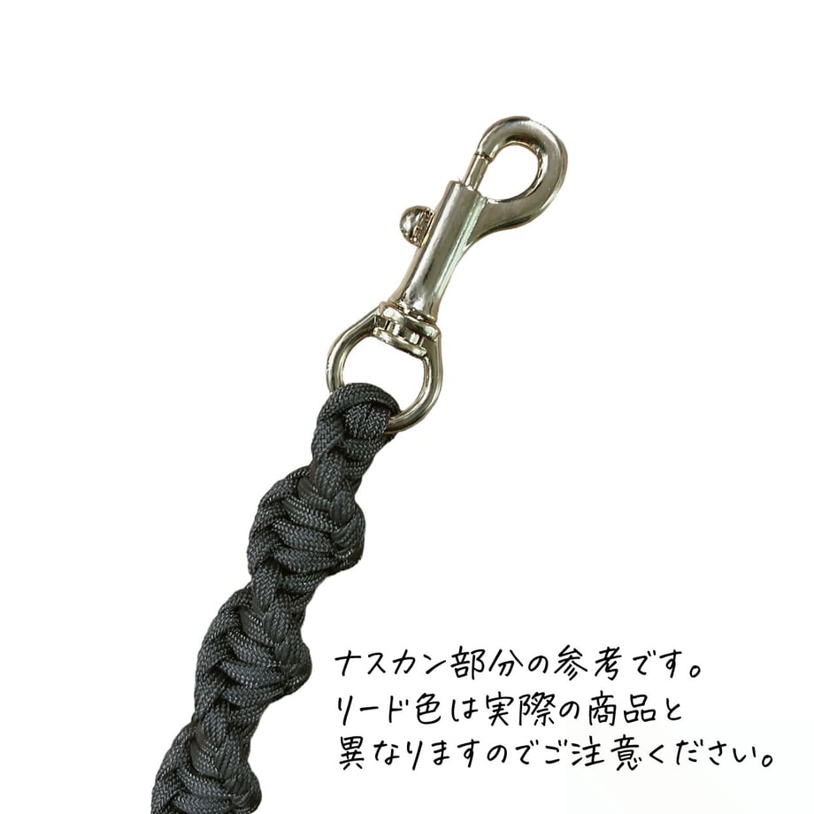 6569c5e42688ed10f751cf96