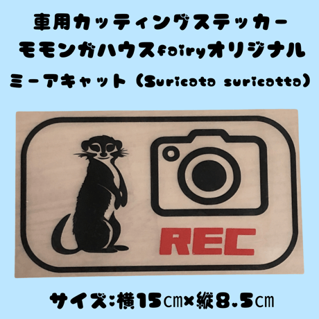 モモンガ | STORES