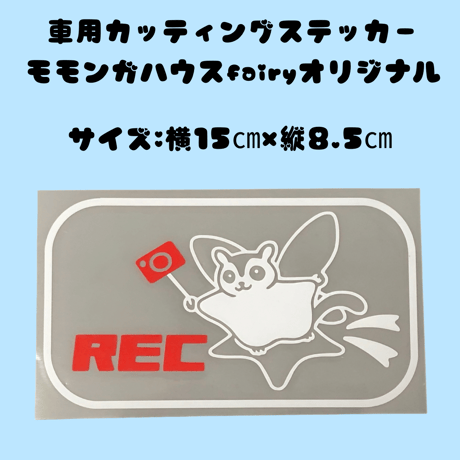 モモンガ | STORES