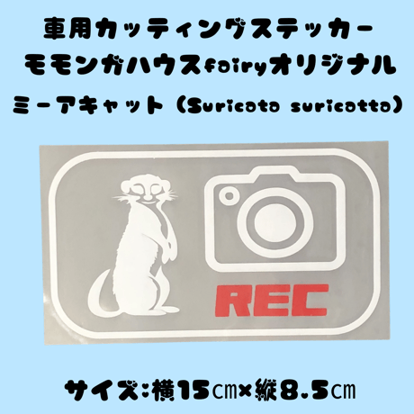 モモンガ | STORES