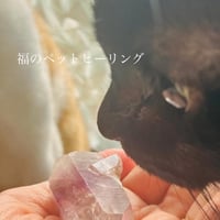 福の遠隔ペットヒーリング(15分）