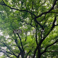 【期間限定】家族遠隔一斉ヒーリング（30分）　　¥18000