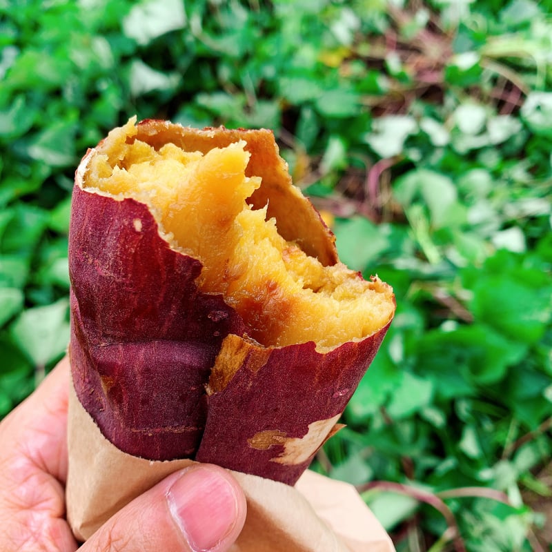 自然栽培・つぼ焼き芋、紅はるか【冷凍】1kg | かっちゃんのつぼ焼き芋