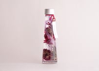 -Violet-｜スリム三角瓶120ml【限定一点】