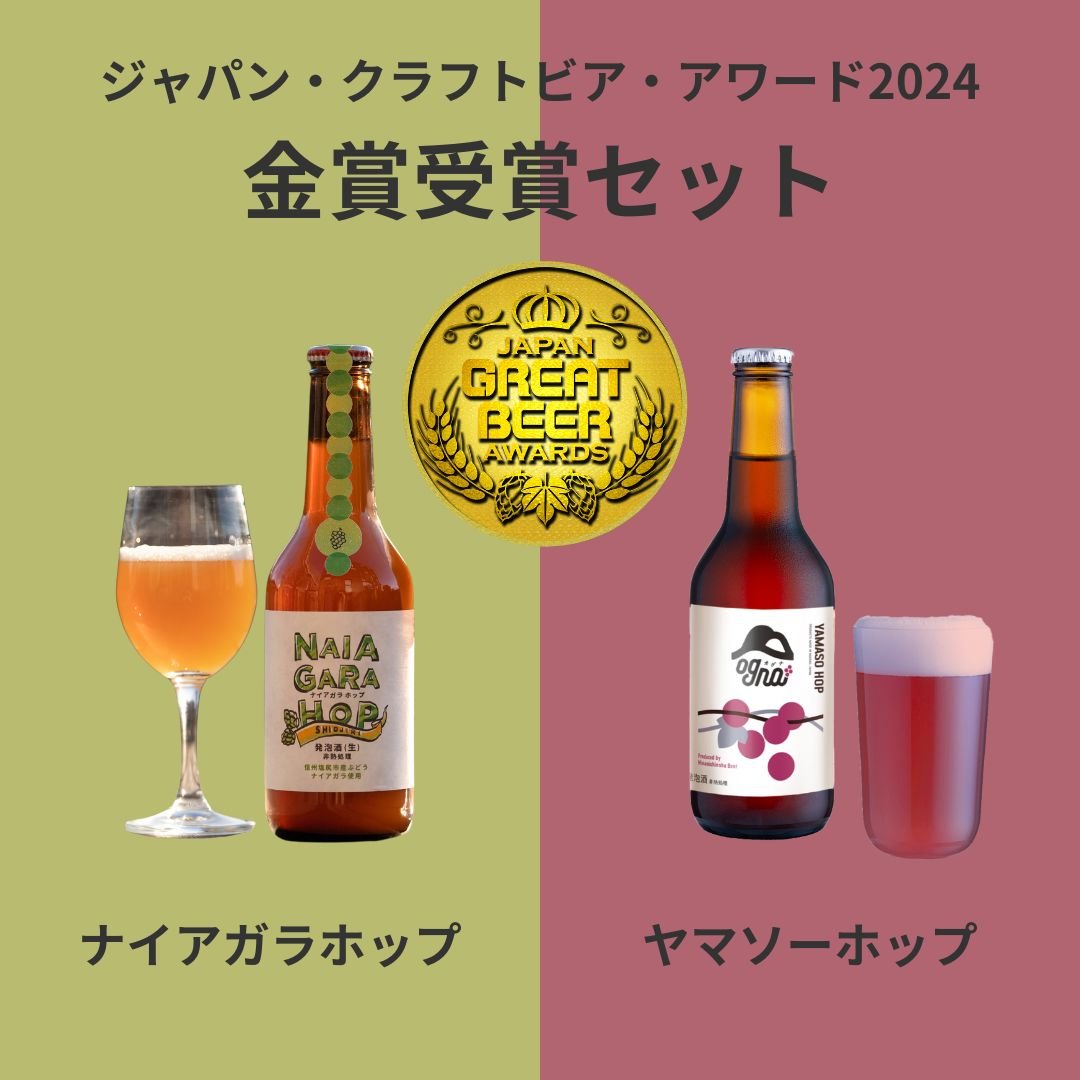 週末発送】ジャパン・グレートビア・アワード2024金賞ビールセット（2