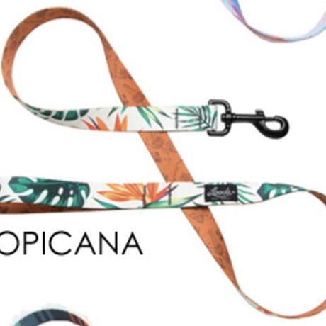 犬用首輪とリード | STORES