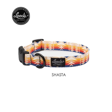 犬用首輪とリード | STORES