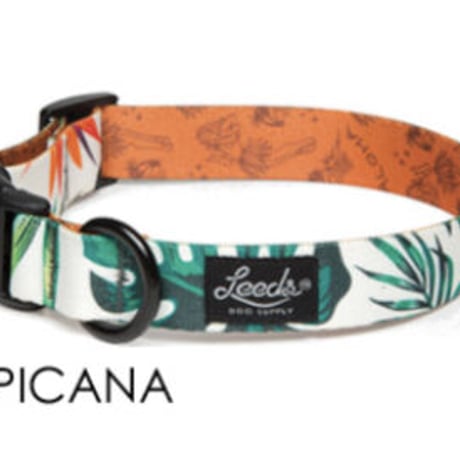 犬用首輪とリード | STORES