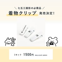 着物クリップ（通常価格）