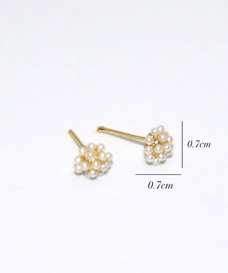 Petit Pearlピアス/イヤリング