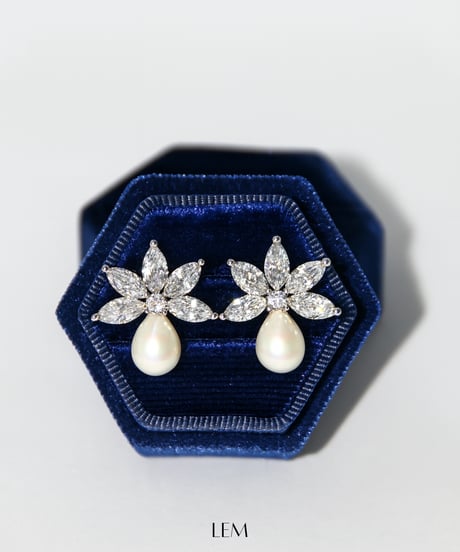 Crystal Dropピアス/イヤリング