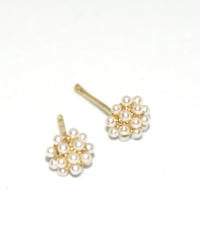 Petit Pearlピアス/イヤリング