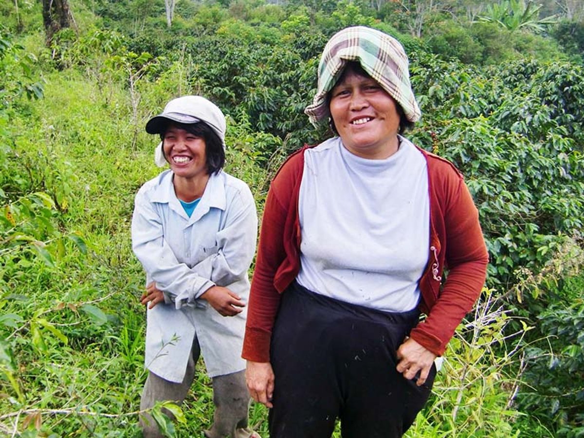 インドネシア】マンデリン アチェ フォレストグリーン スマトラ式 100g