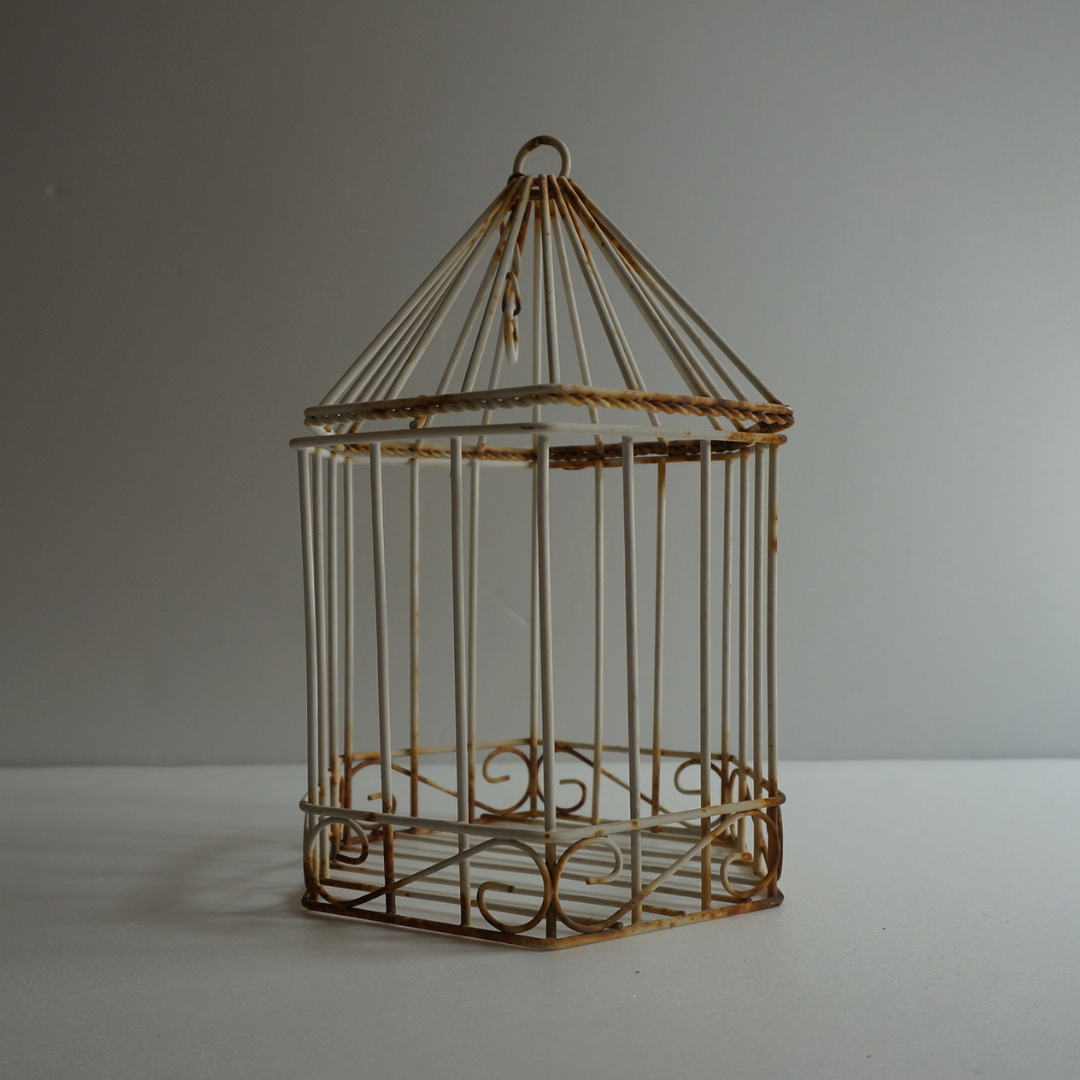 鉄の鳥かご | 生活骨董の店 dadatools.