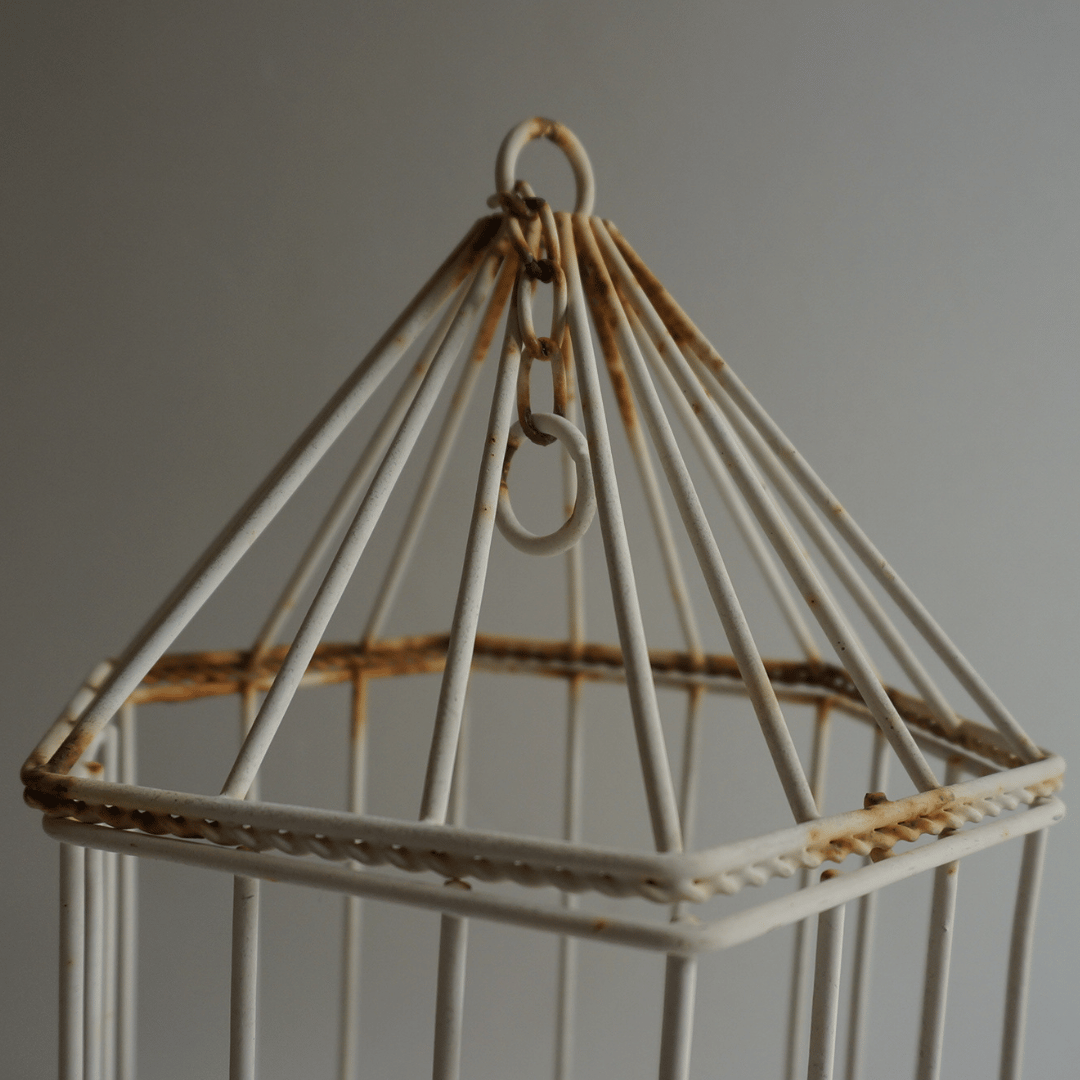 鉄の鳥かご | 生活骨董の店 dadatools.