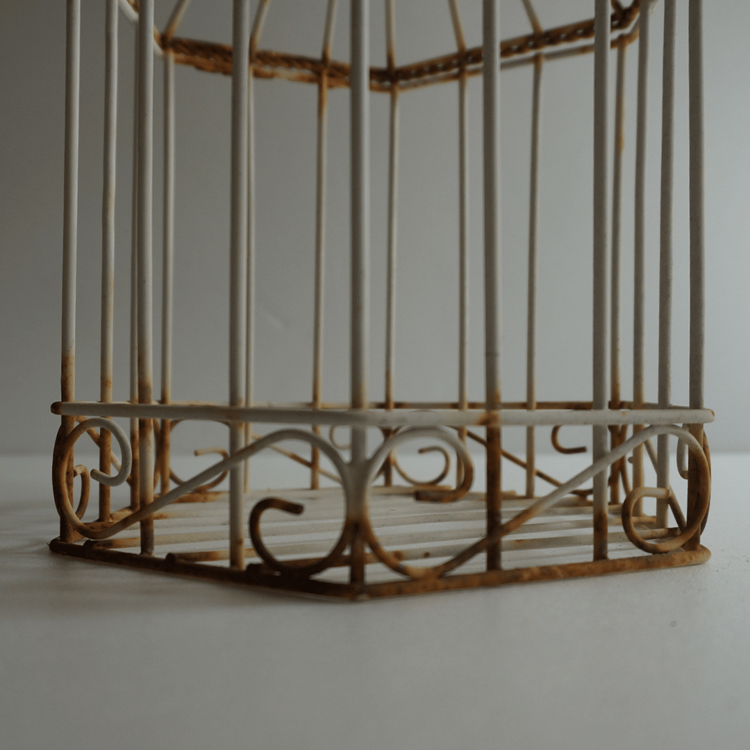 鉄の鳥かご | 生活骨董の店 dadatools.