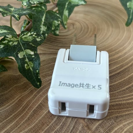 💙-𝐈𝐙𝐔𝐌𝐈-💙様々な物を教育し直す 新プラグ【image共生X5】送料無料