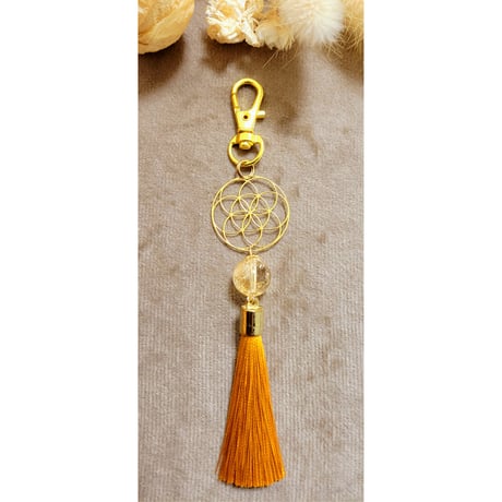 シードオブライフ | STORES