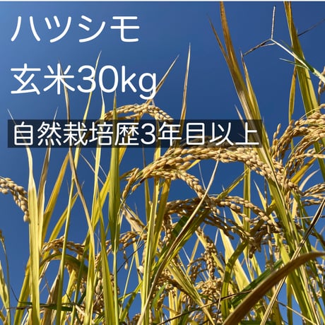 30kg | STORES