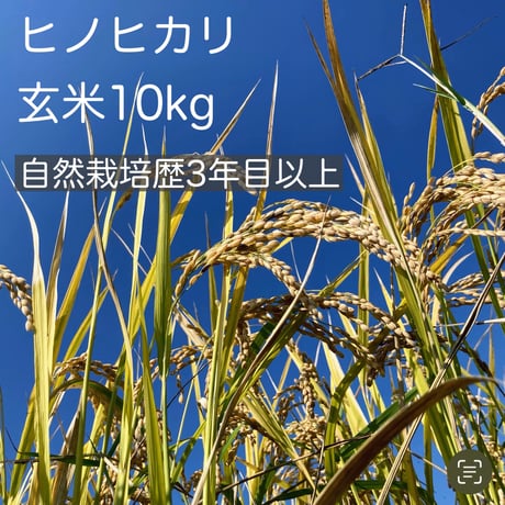 やまむら農園