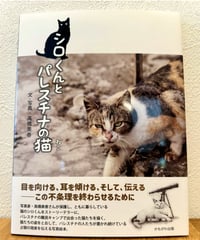 シロくんとパレスチナの猫