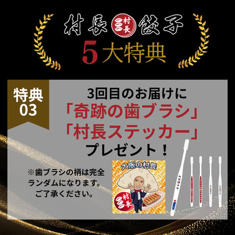 【80個】村長餃子🥟定期便限定価格！送料無料！