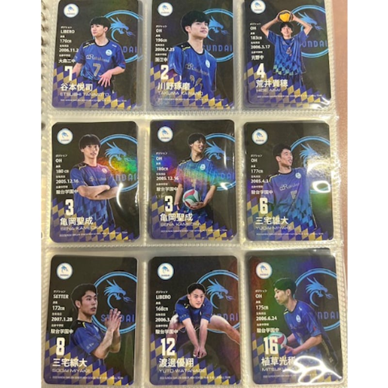 駿台学園男子バレーボール部 2023年度メンバーカード 数量限定