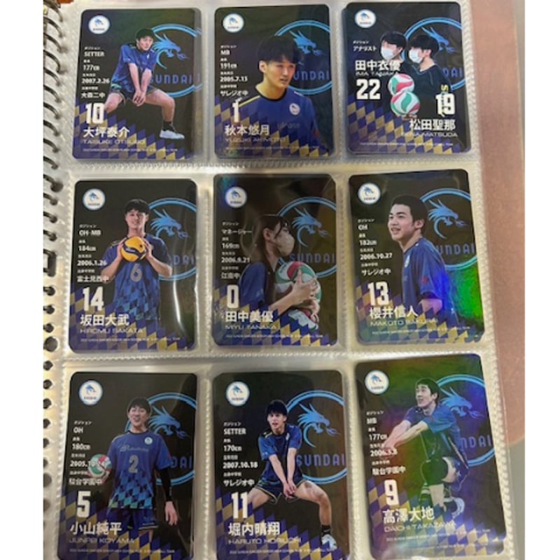 【新品】駿台学園　2024年度　ゲームパンツ　L バレーボール部　貴重 駿台学園 2024年度 ゲームパンツ M バレーボール部 残りわずか