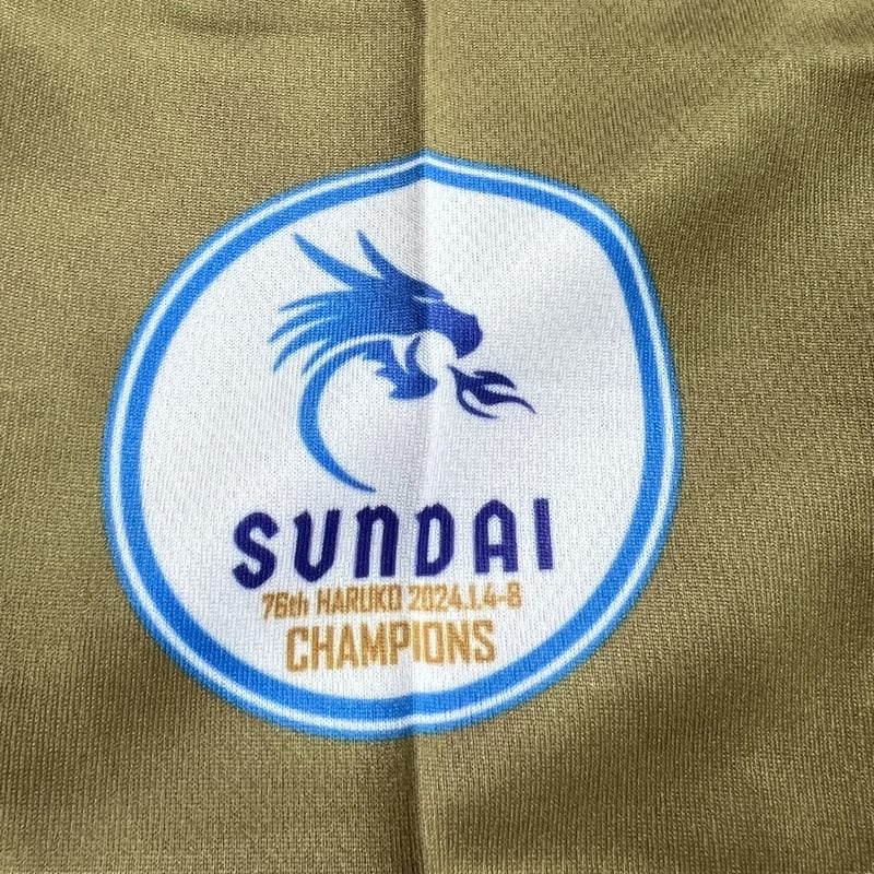 2024春高バレー駿台学園高校 優勝記念Tシャツ | HOYLE STORE 2024春高バレー駿台学園高校 優勝記念Tシャツ | HOYLE STORE